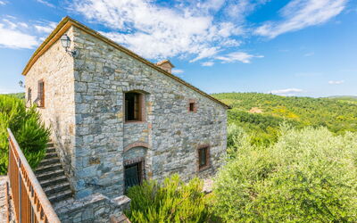 Alloggio:&nbsp;Cerretino Oliveto 647.3