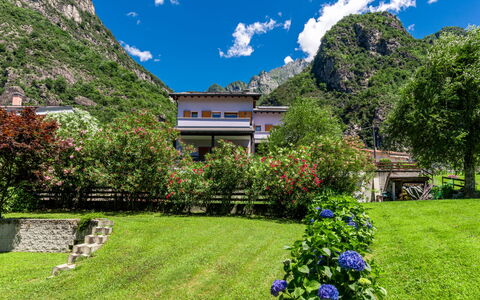 Angelina House: Pianta, Cielo, Nube, Proprietà, Costruzione, Blu, Natura, Azzurro, Fiore, Paesaggio Naturale