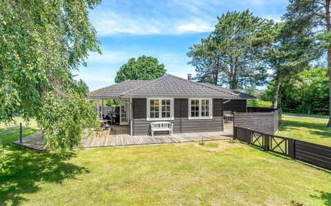 Felicia - 350M from the Sea
