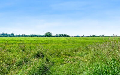 Patrice - 300M from the Sea