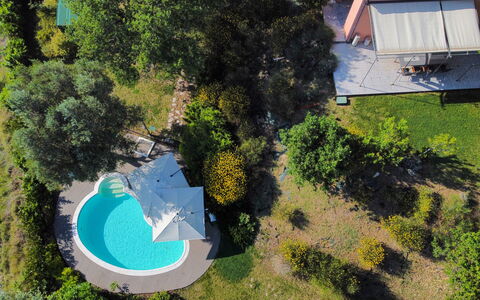 Villa Gelso: Pianta, Proprietà, Comunita 'Impianto, Azzurro, Lotto, Biome, Erba, Urban Design, Tempo Libero, Paesaggio