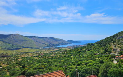 Panoramic View