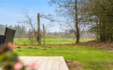 Thorgot - 3Km from the Sea: Verde, Erba, Albero, Natura, Foglia, Ramo, Paesaggio Naturale, Vegetazione, Arbusto, Paesaggio