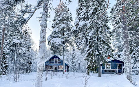 Villa Wirtanen: Neve, Inverno, Albero, Ramo, Legna, Casa, Villetta, Casa, Congelamento, Ramoscello