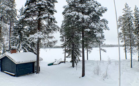 Villa Wirtanen: Neve, Inverno, Albero, Ramo, Legna, Congelamento, Tetto, Villetta, Ramoscello, Larice