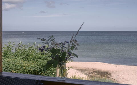 Stille - 10M from the Sea: Legna, Casa, Portico, Deck, Latifoglie, Tetto, Color Legno, Pavimento In Legno, Eco Hotel