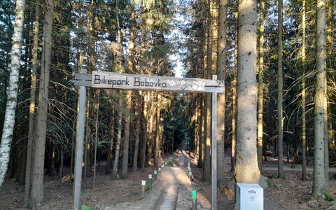 Desná V Jizerských Horách 841: Pianta, Paesaggio Naturale, Legna, Tronco, Biome, Strada Transitabile, Albero, Impianto Terrestre, Paesaggio, Deciduo