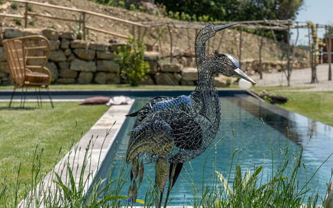 Villa Paradise: Acqua, Pianta, Albero, Banca, Erba