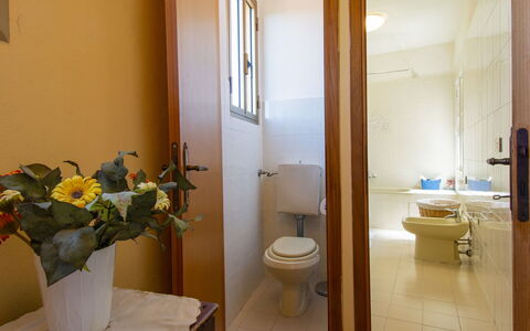 Nide: Proprietà, Fiore, Pianta, Lavello, Idraulico Fixture, Bagno, Pavimento, Pavimentazione, Costruzione, Vaso