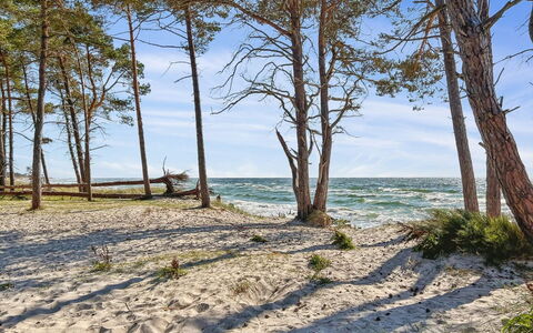 Nea - 600M from the Sea: Blu, Ambiente Naturale, Legna, Costa, Spiaggia, Costiera E Morfologie Oceanic, Riva, Mare, Oceano, Sabbia