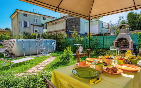 Pinot: Tavolo, Pianta, Proprietà, Tavola, Costruzione, Natura, Shade, Architettura, Mobili Da Esterno, Tovaglia