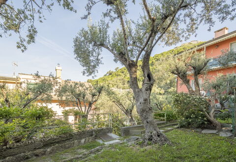 Pieve Ligure Seaside View, Wifi: Foglia, Ramo, Vegetazione, Arbusto, Primavera, Ramoscello, Giardino, Estate, Cortile, Landscaping