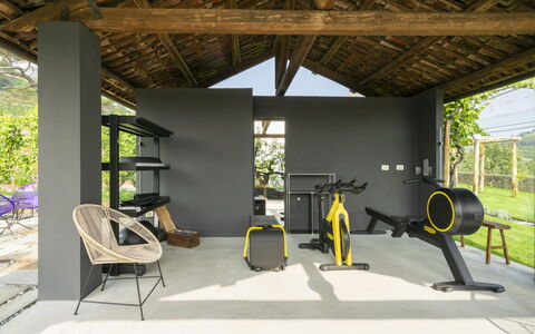 B&b Vigne Di Fagnano Without Kitchen: Pianta, Shade, Interior Design, Legna, Pavimento, Tempo Libero, Pavimentazione, Sedia, Albero, Fascio