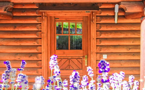 Chalet Sept: Mobilia, Divano, Comfort, Shade, Interior Design, Tavolo, Soggiorno, Finestra, Pavimento, Pianta