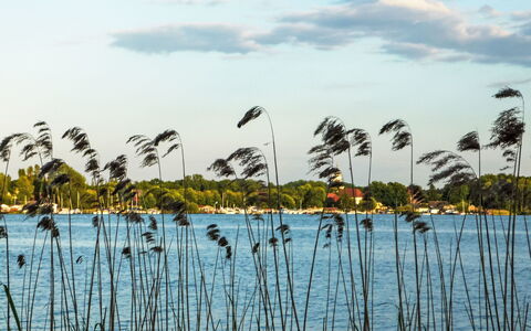 Bootshaus auf Dem See: Lago, Palude, Serbatoio, Riflessione
