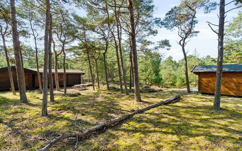 Sonya - 350M from the Sea: Albero, Legna, Lotto, Area Rurale, Villetta, Foresta, Woodland, Tronco, Edifici Giardino, Capannone