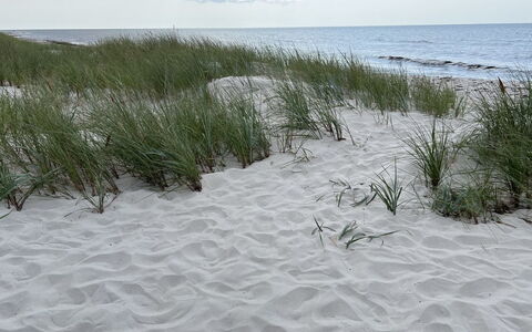 Sonya - 350M from the Sea: Ambiente Naturale, Sabbia, Spiaggia, Riva, Costa, Inverno, Neve