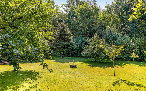 Berner - 30Km from the Sea: Verde, Foglia, Giallo, Natura, Erba, Albero, Ambiente Naturale, Ramo, Vegetazione, Arbusto