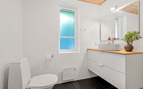 Trena - 1.2Km to the Fjord: Idraulico Fixture, Pavimentazione, Pavimento, Interior Design, Legna, Lavandino Del Bagno, Lavello, Gabinetto, Mobiletto Del Bagno, Bagno