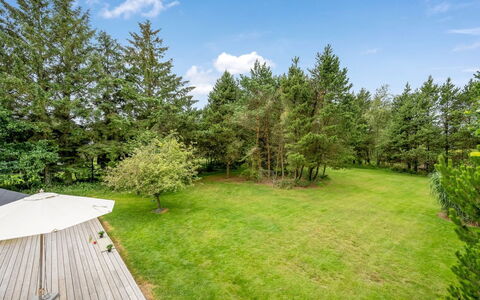 Ljiljana - 2Km from the Sea: Albero, Arbusto, Lotto, Giardino, Prato, Landscaping, Shade, Sempreverde, Cortile