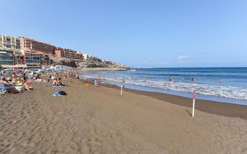 Neptuno Suite Playa: Verde, Foglia, Pianta, Albero, Biome, Erba, Tempo Libero, Woody Impianto, Urban Design, Tinte E Ombre