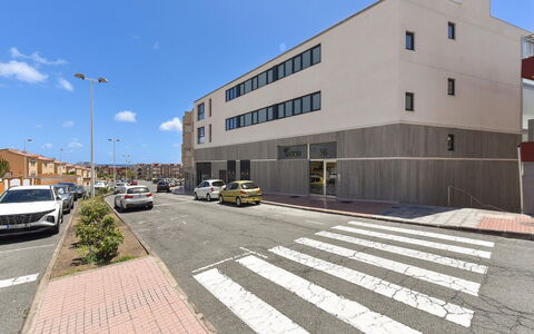 Neptuno Suite Playa: Verde, Foglia, Pianta, Albero, Biome, Erba, Tempo Libero, Woody Impianto, Urban Design, Tinte E Ombre