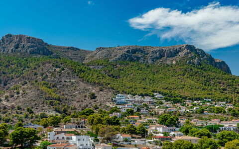 Mascarat: Verde, Foglia, Pianta, Albero, Biome, Erba, Tempo Libero, Woody Impianto, Urban Design, Tinte E Ombre