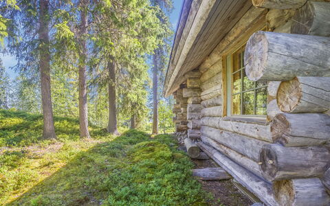 Ukkokelo: Mobilia, Sedia, Mobili Da Esterno, Tavolo, Legna, Tavolo Esterno, Cucina & Sala Da Pranzo Tavolo, Shade, Giardino, Ombrello