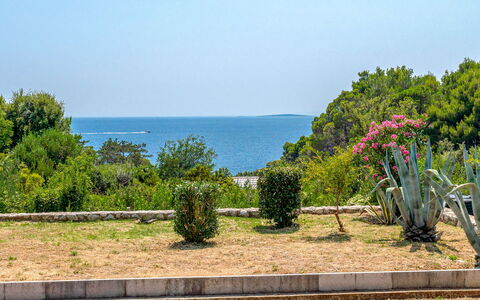 Dundo House: Blu, Verde, Foglia, Vegetazione, Arbusto, Comunita 'Impianto, Giardino, Mare, Oceano, Landscaping