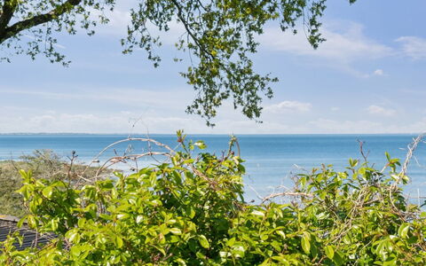 Titta - 10M to the Fjord: Blu, Arbusto, Villetta, Groundcover, Giardino, Estate, Shade, Landscaping, Agriturismo, Eco Hotel