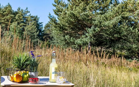 Dagny - 520M from the Sea: Rosso, Tavola, Serveware, Bicchieri, Dishware, Cibo