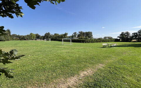 Christian - 600M from the Sea: Cielo, Blu, Giorno, Albero, Erba, Pascolo, Plain, Arbusto, Lotto, Prato