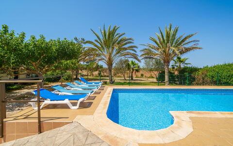 Cas Forner: Cielo, Acqua, Pianta, Azzurro, Rettangolo, Piscina, Shade, Mobili Da Esterno, Albero, Arecales
