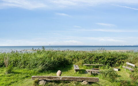 Nilson - 50M from the Sea: Erba, Legna, Area Rurale, Arbusto, Villetta, Tetto, Plain, Lotto, Casa, Groundcover