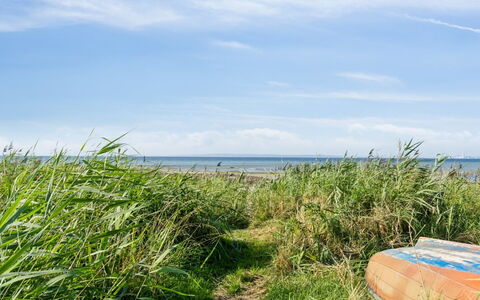 Nilson - 50M from the Sea: Erba, Legna, Area Rurale, Arbusto, Villetta, Tetto, Plain, Lotto, Casa, Groundcover