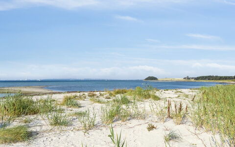 Nilson - 50M from the Sea: Erba, Legna, Area Rurale, Arbusto, Villetta, Tetto, Plain, Lotto, Casa, Groundcover