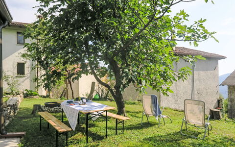Delle Maschere: Pianta, Tavolo, Proprietà, Mobilia, Finestra, Costruzione, Shade, Architettura, Cielo, Albero