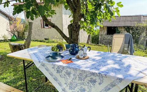 Delle Maschere: Pianta, Tavolo, Mobilia, Proprietà, Tavola, Tovaglia, Sedia, Natura, Foglia, Mobili Da Esterno