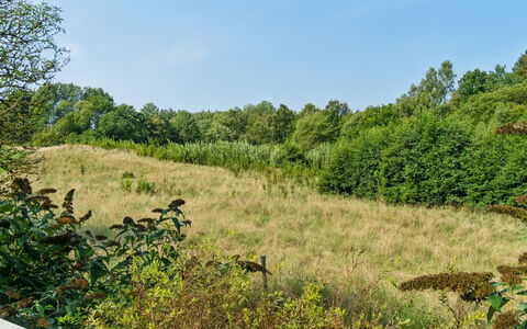 Waldemar - 8Km from the Sea: Legna, Tetto, Architettura, Casa, Casa, Villetta, Raccordo, Latifoglie, Pendenza, Estate