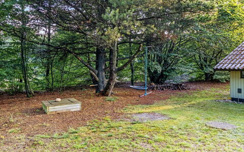 Torhild - 30Km from the Sea: Foglia, Albero, Erba, Ramo, Legna, Arbusto, Lotto, Tronco, Groundcover, Giardino