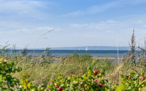 Joella - 75M from the Sea: Tetto, Casa, Casa, Villetta, Raccordo, Estate, Driveway, Edifici Giardino, Cortile, Capannone