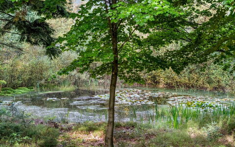 Vicente - 14Km to the Fjord: Blu, Arbusto, Villetta, Groundcover, Giardino, Estate, Shade, Landscaping, Agriturismo, Eco Hotel