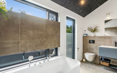 Jahn - 250M to the Fjord: Parete, Idraulico Fixture, Pavimentazione, Interior Design, Bagno, Soffitto, Rubinetto, Lavello, Pavimento, Idraulico