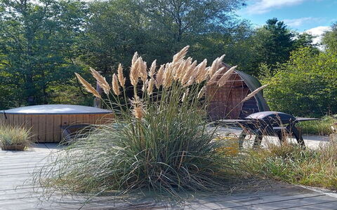 Duco - 780M from the Sea: Arbusto, Giardino, Landscaping, Backyard