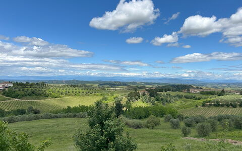Ciliegino Spereto Apartment, Pool And Relax , Mont: Cielo, Giorno, Ambiente Naturale, Erba, Natura, Nube, Orizzonte, Vegetazione, Paesaggio Naturale, Pascolo