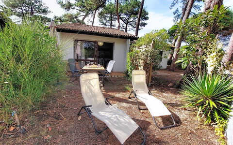 Mimizan 406: Arbusto, Mobili Da Esterno, Shade, Giardino, Sedia, Landscaping, Cortile, Backyard, Lettino, Ombrello