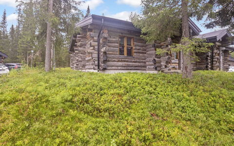 Kaukonkelo: Legna, Villetta, Raccordo, Log Cabin, Color Legno, Latifoglie, Plank, Legname, Materiali Naturali, Edifici Giardino