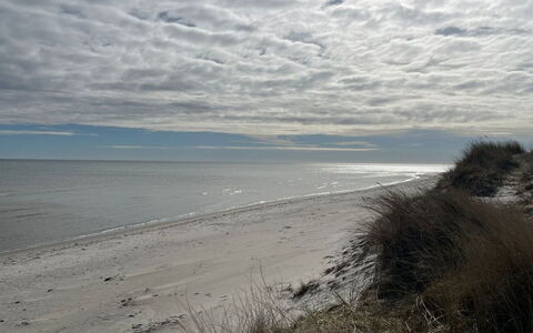 Frido - 500M from the Sea