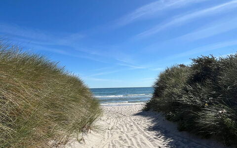 Frido - 500M from the Sea: Blu, Ambiente Naturale, Spiaggia, Costa, Orizzonte, Mare, Costiera E Morfologie Oceanic, Riva, Oceano