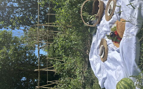 Borgo Dolciano: Giardino, Produrre, Frutta, Natural Foods, Agricoltura